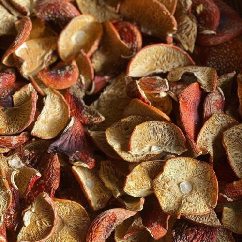 39A109BD-8425-4626-8