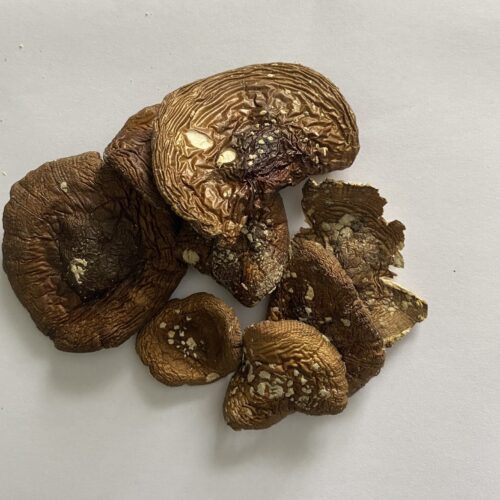 40A3FB93-A1E2-4AD3-B