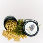 Сморчок в капсулах по 0.5г