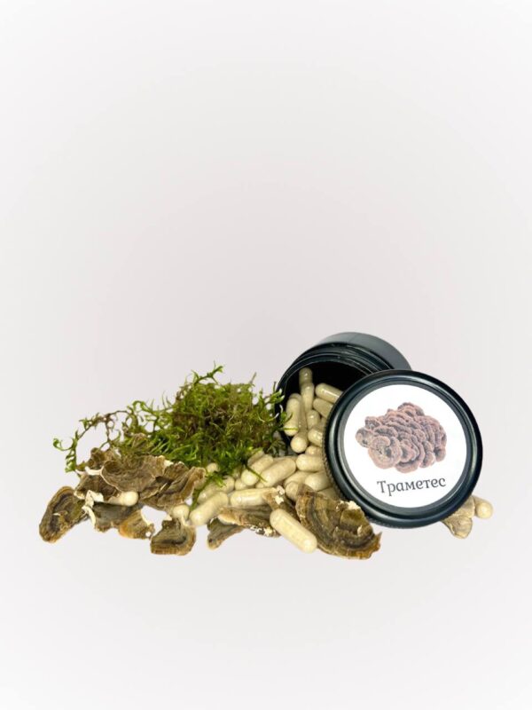 Траметес різнокольоровий в капсулах