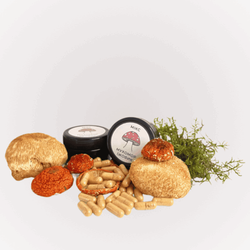 Мікс червоний мухомор та їжовик гребінчастий в капсулах