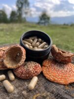 Мухомор в капсулах 60 шт 0.5 г - Зображення 2