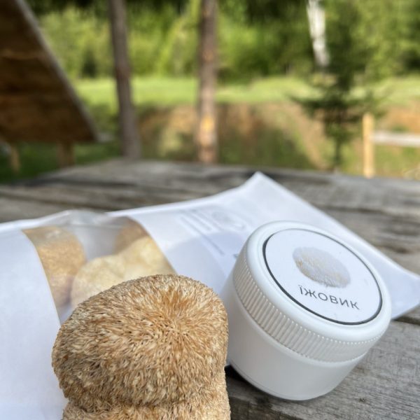 photo_2024-11-05_19- (1)