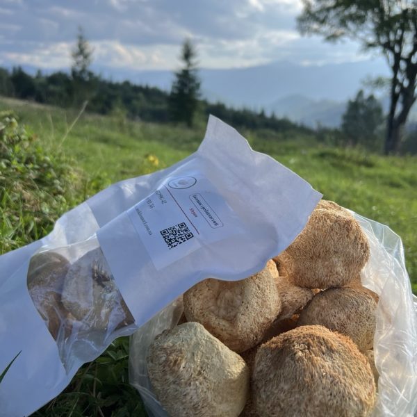 photo_2024-11-05_19- (3)