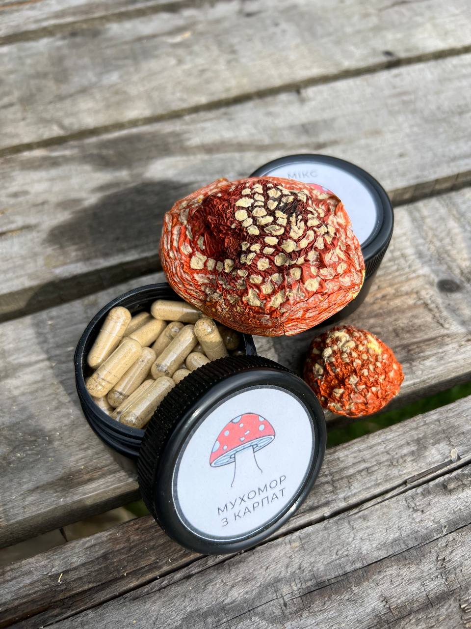 Мікродозинг червоним мухомором — натуральний засіб для сну, антистресу та гармонії