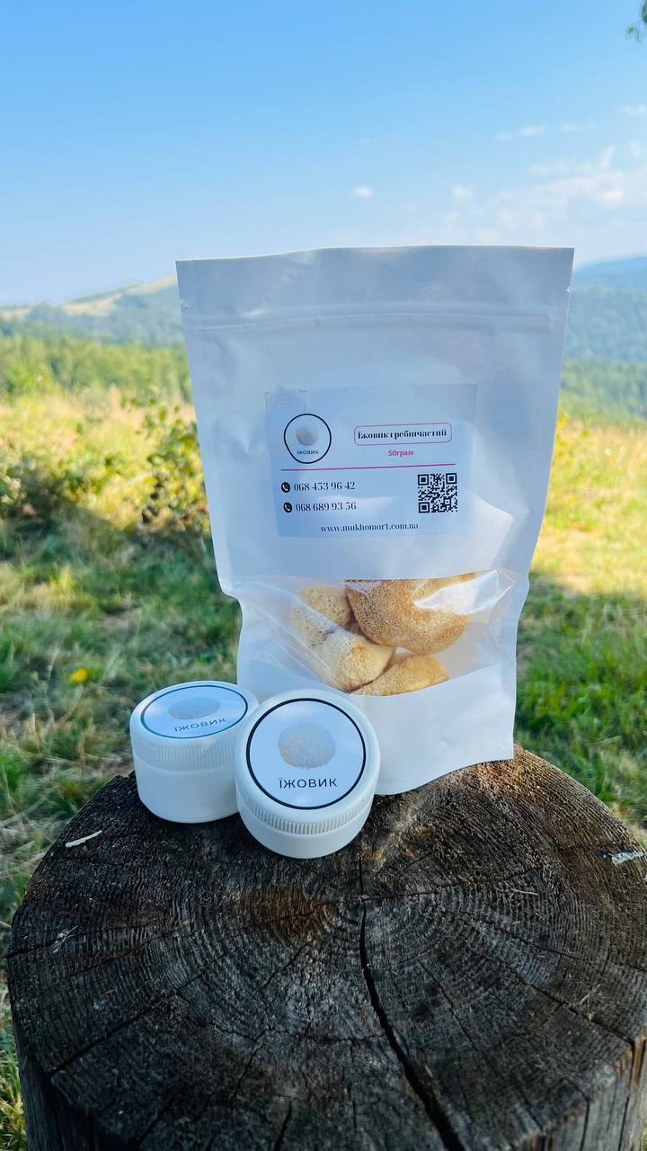 Їжовик гребінчастий (Lion’s Mane) у природі — гриб для мозку та пам’яті