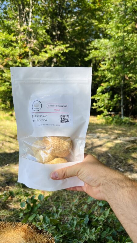 Їжовик гребінчастий для покращення пам'яті та роботи