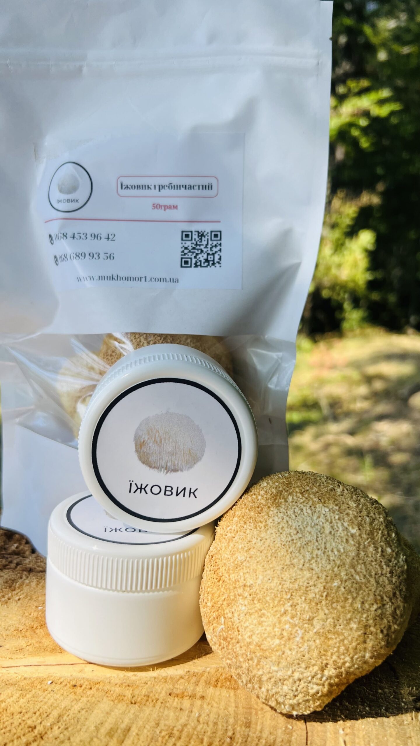 їжовик гребінчастий цілі плодові тіла