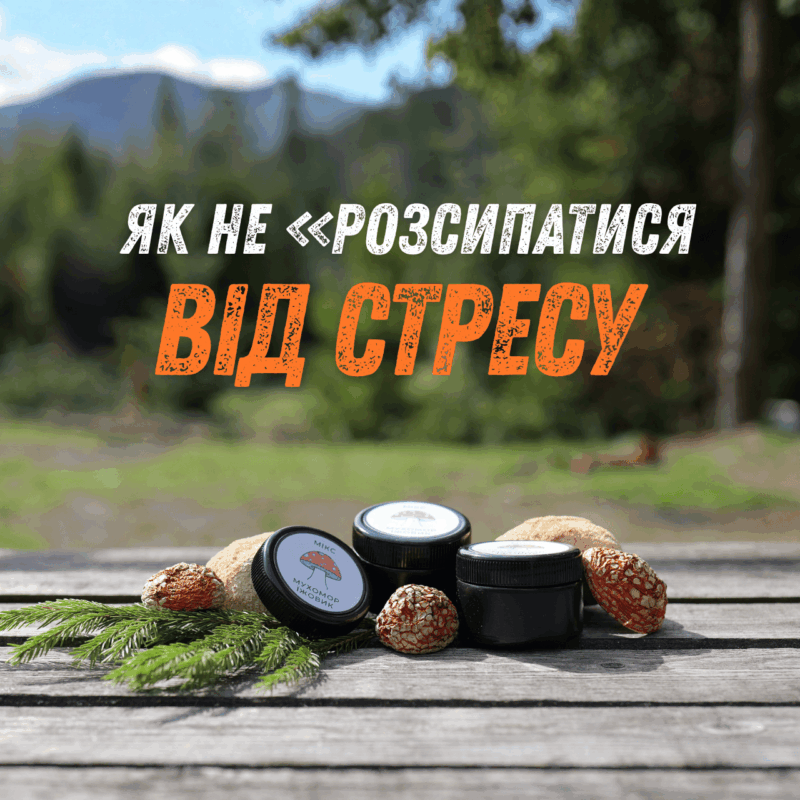 набір грибів для подолання стресу: їжовик та мухомор